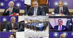 Press Release – ISSI hosts event commemorating Egypt’s ‘Revolution Day’