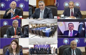 Press Release – ISSI hosts event commemorating Egypt’s ‘Revolution Day’