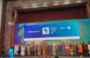President PAIDAR, Senator Mushahid addresses African Political Parties Summit, says Asia too needs ‘Mandela Model’ of Reconciliation, reiterates Pakistan strong historical Africa ties